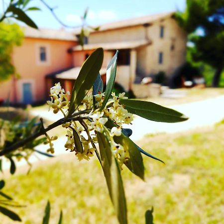 Tenuta San Felice Giano dellʼUmbria Zewnętrze zdjęcie