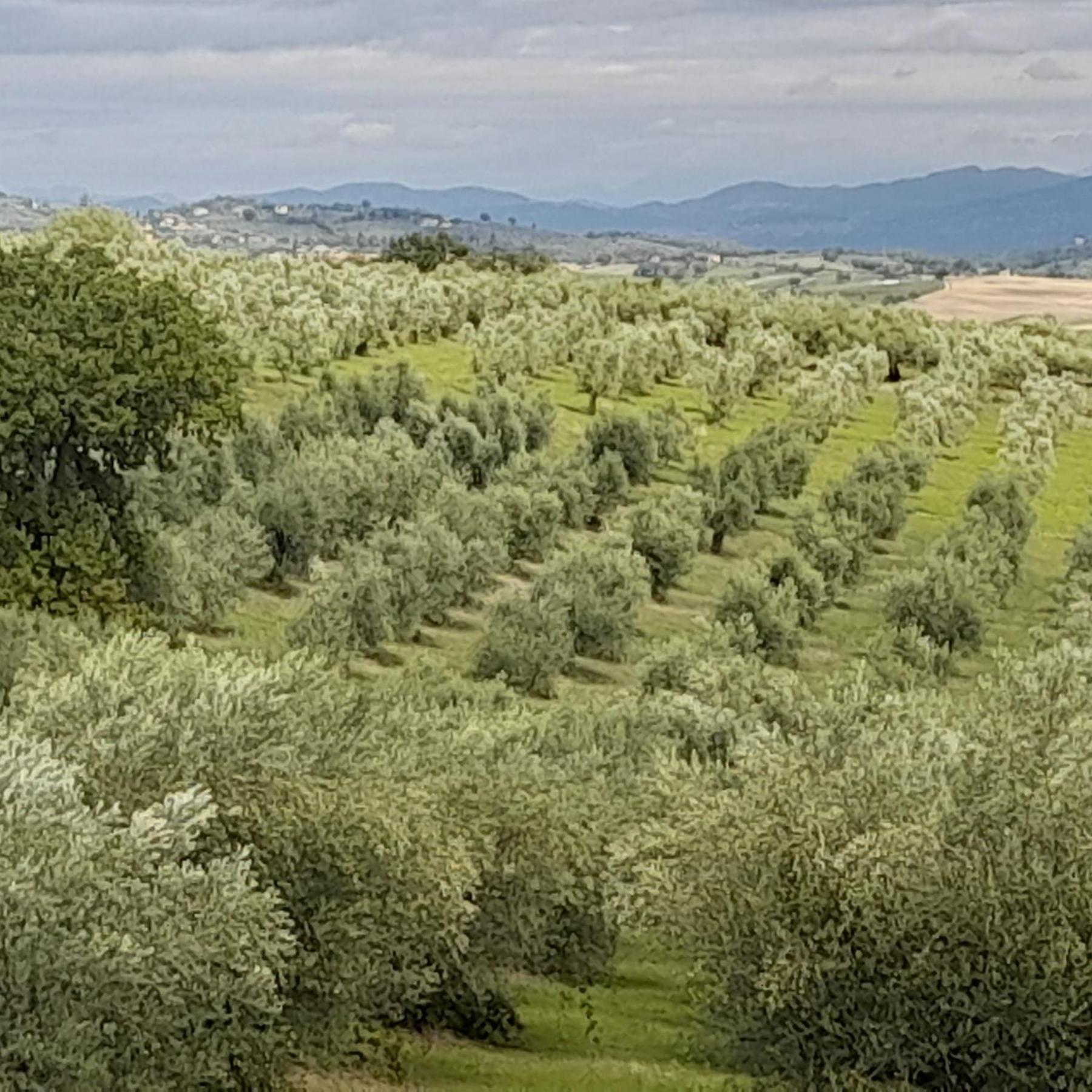 Tenuta San Felice Giano dellʼUmbria Zewnętrze zdjęcie