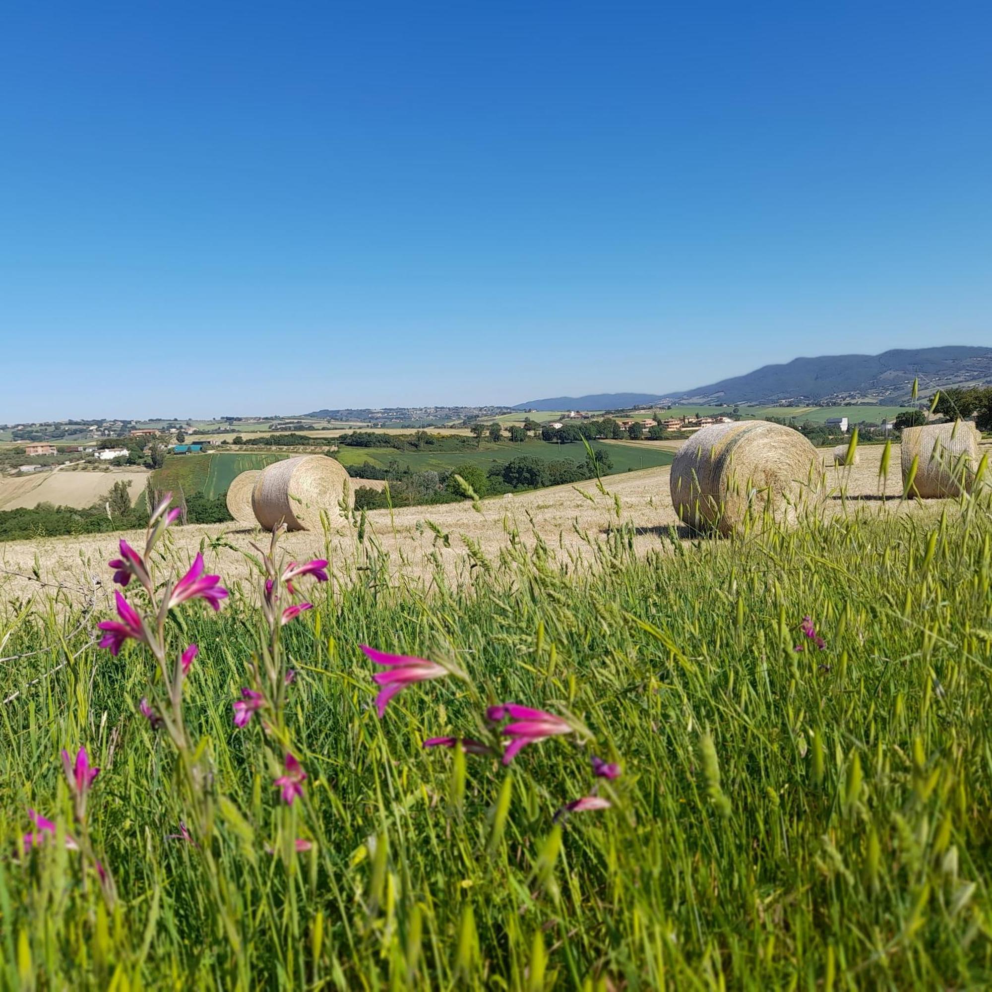 Tenuta San Felice Giano dellʼUmbria Zewnętrze zdjęcie