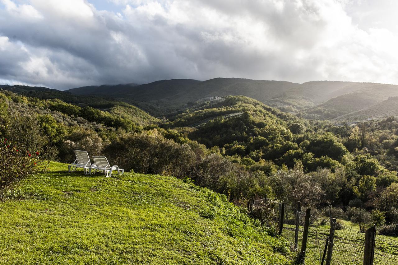 Tenuta San Felice Giano dellʼUmbria Zewnętrze zdjęcie