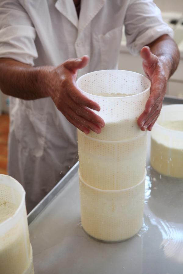 Tenuta San Felice Giano dellʼUmbria Zewnętrze zdjęcie