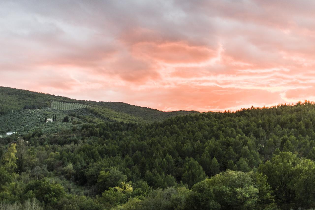 Tenuta San Felice Giano dellʼUmbria Zewnętrze zdjęcie