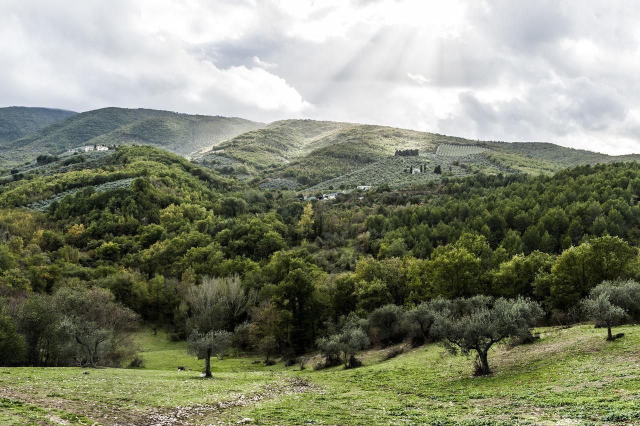 Tenuta San Felice Giano dellʼUmbria Zewnętrze zdjęcie